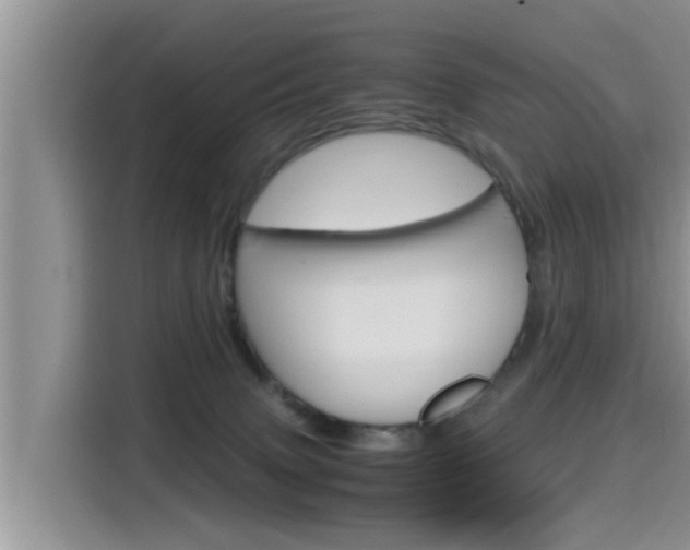 X0000115700083200911120951