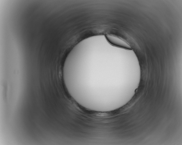 X0000115700085200911120951