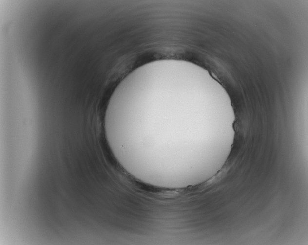 X0000115700086200911120952