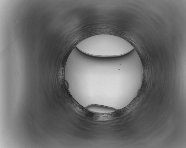 X0000115700093200911120952