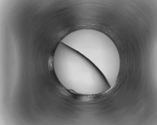 X0000115700094200911120952