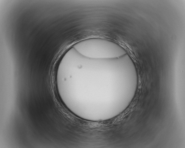 X0000115700098200911120951