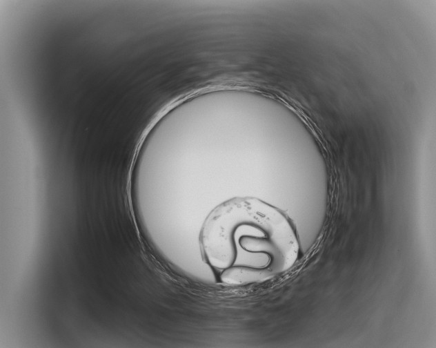X0000115700100200911120951