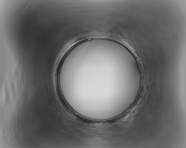 X0000115700103200911120951