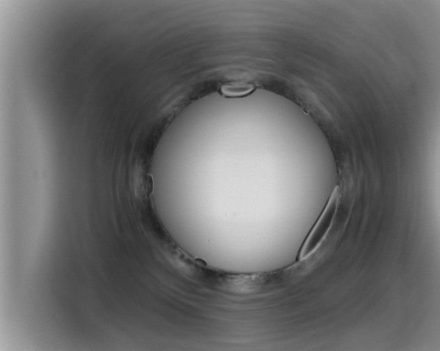 X0000115700136200911120951