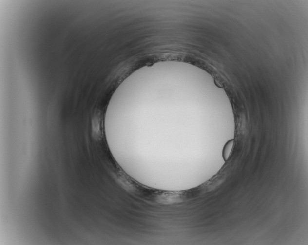 X0000115700138200911120950