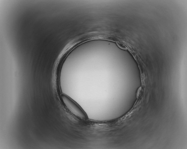X0000115700150200911120950