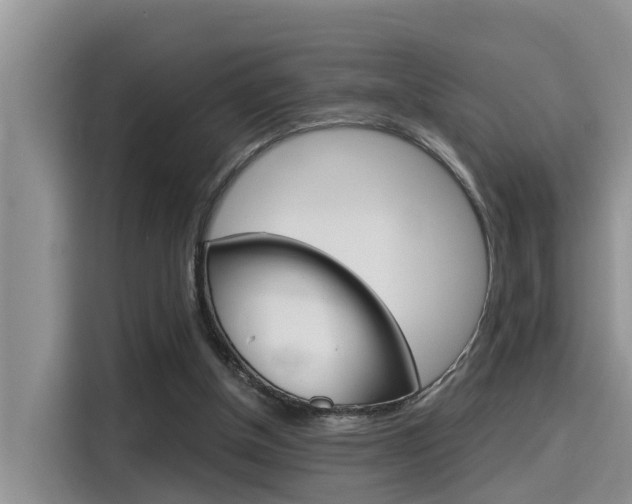 X0000115700154200911120950