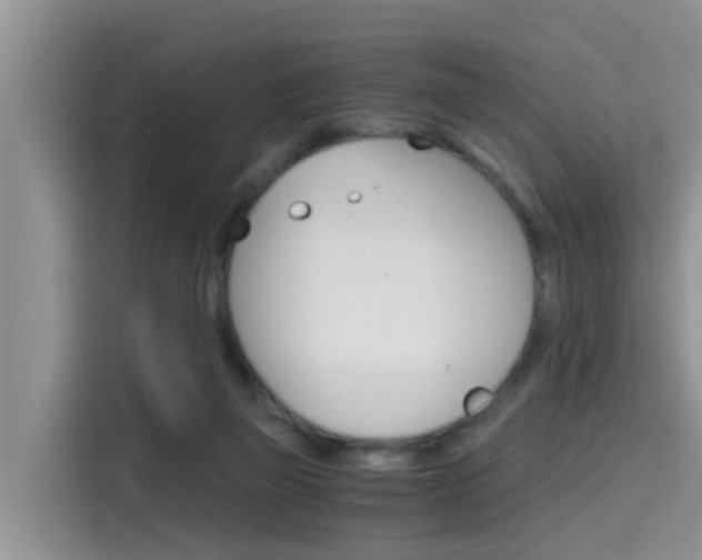 X0000115700165200911120950
