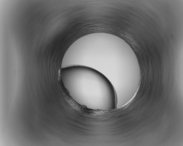 X0000115700190200911120950