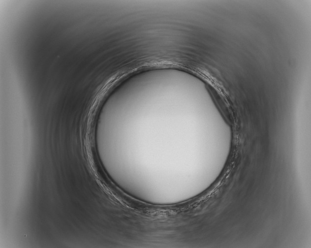 X0000115700193200911120950