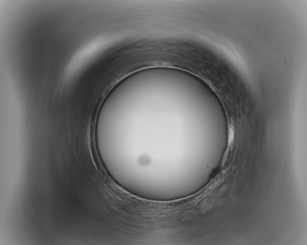 X0000115700195200911120950