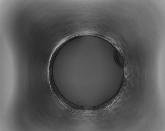 X0000115700196200911120950