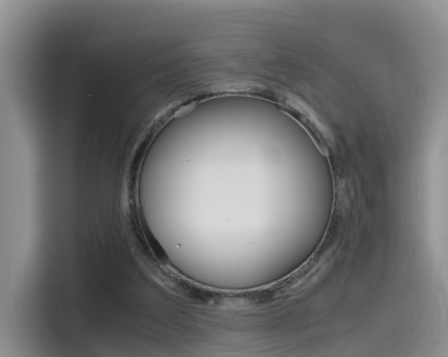 X0000115700203200911120950