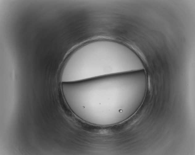 X0000115700204200911120950