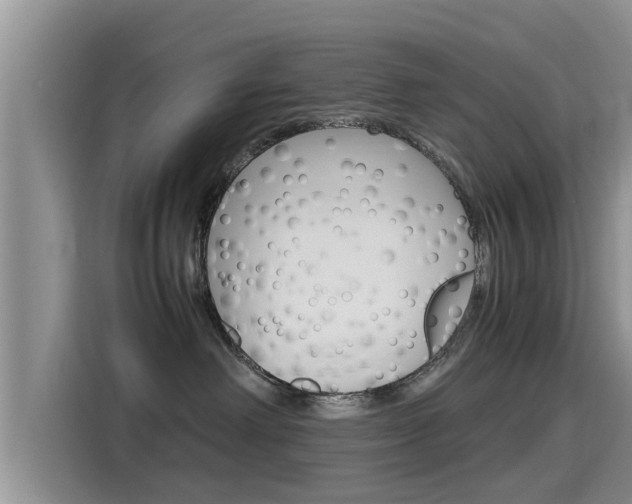 X0000115700238200911120949