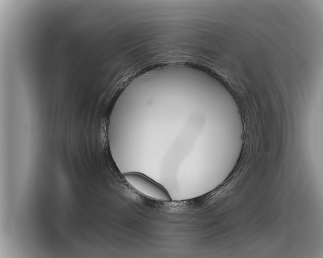 X0000115700240200911120949