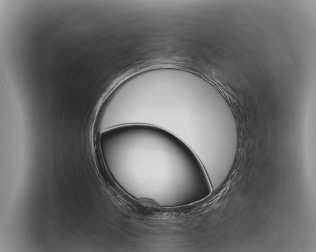 X0000115700244200911120949