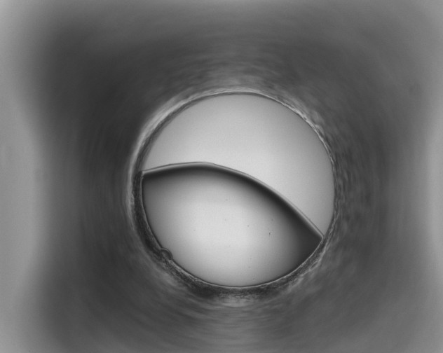X0000115700248200911120949