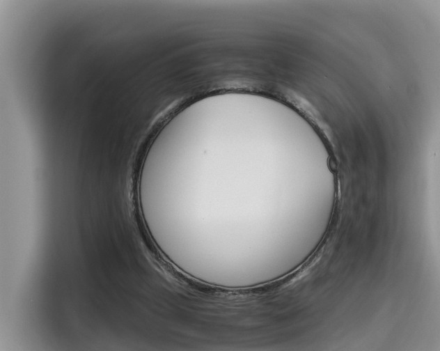 X0000115700249200911120949