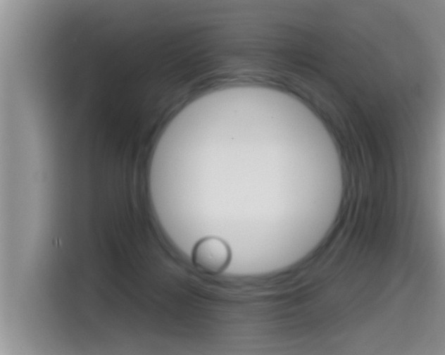 X0000115700268200911120949