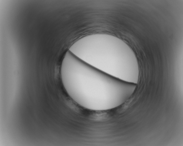 X0000115700278200911120949