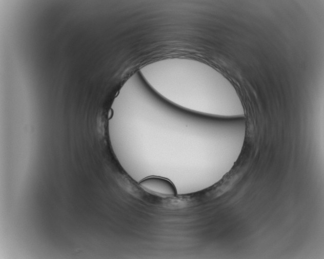 X0000115700282200911120949