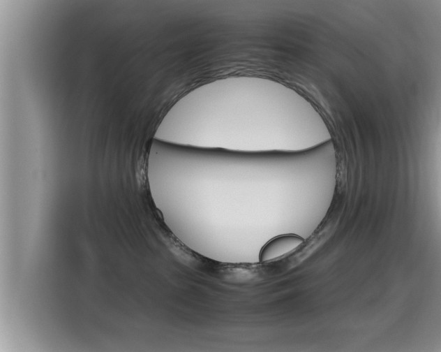 X0000115700285200911120949