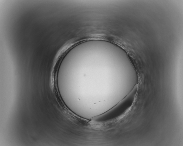 X0000115700294200911120948