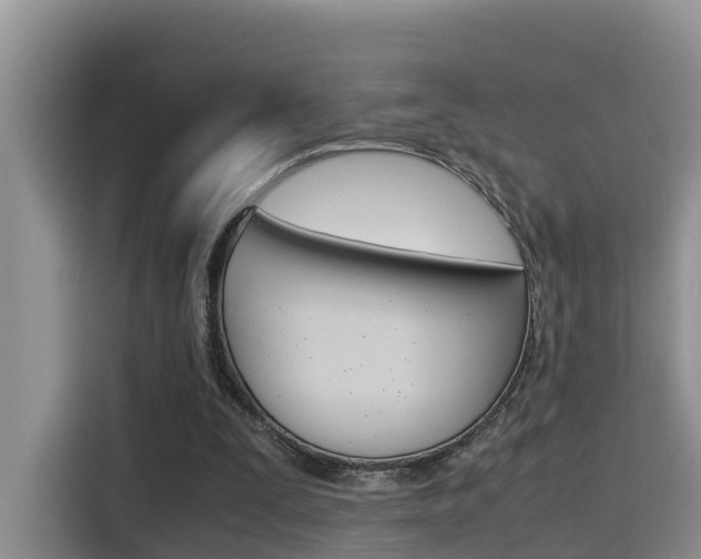 X0000115700295200911120948