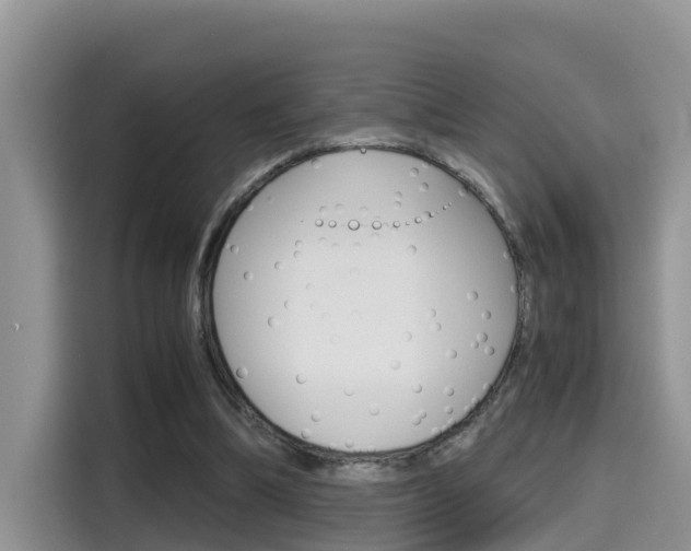 X0000115700298200911120948