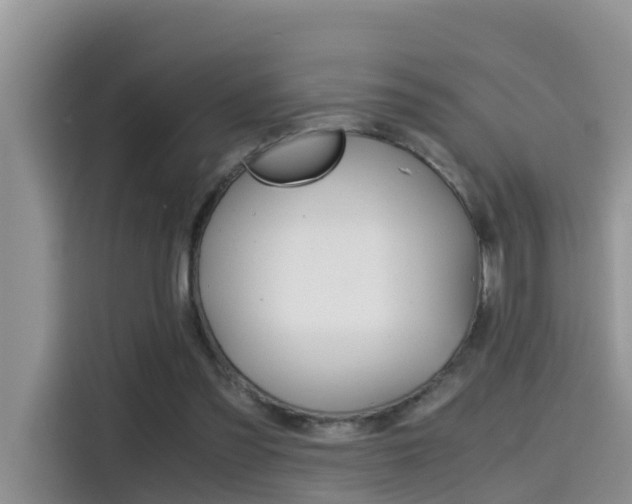 X0000115700301200911120948