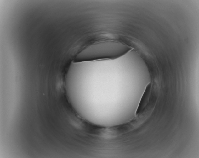 X0000115700320200911120948
