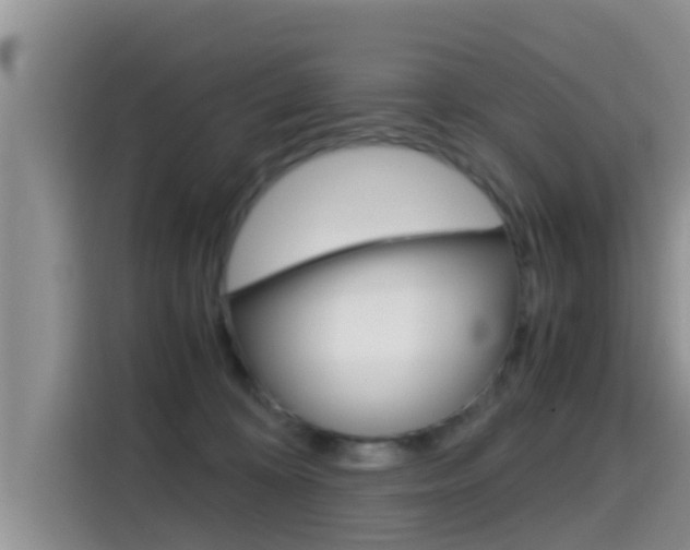 X0000115700324200911120948