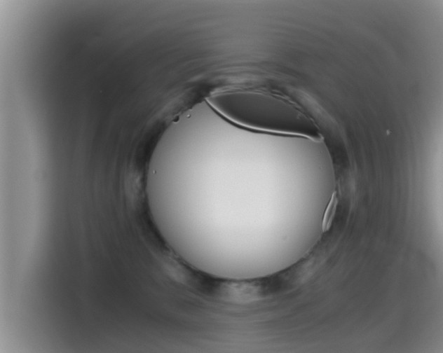 X0000115700327200911120948