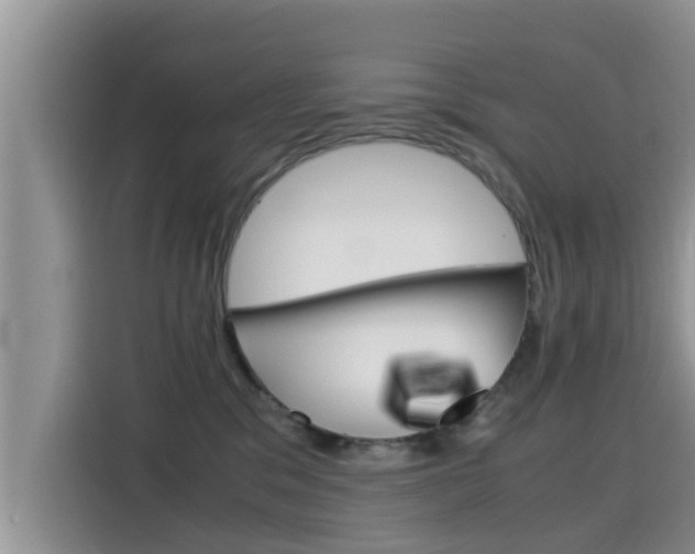 X0000115700329200911120948