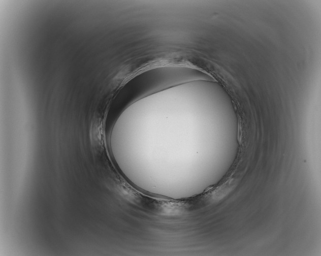 X0000115700336200911120948