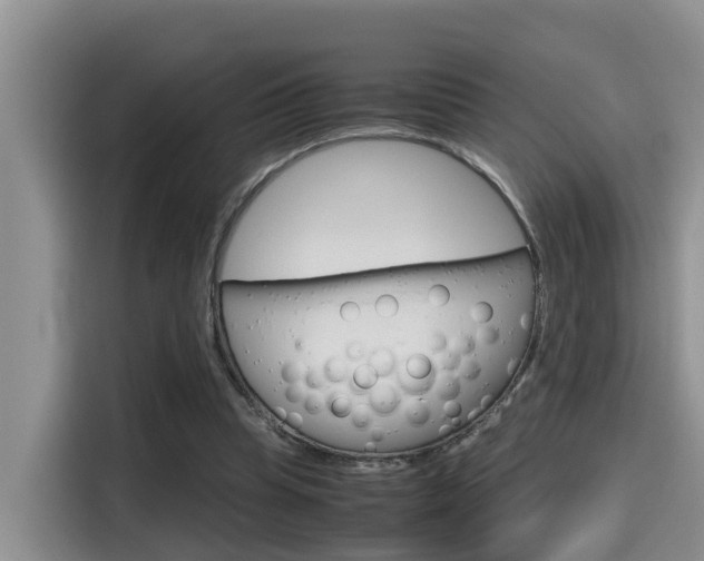 X0000115700345200911120947