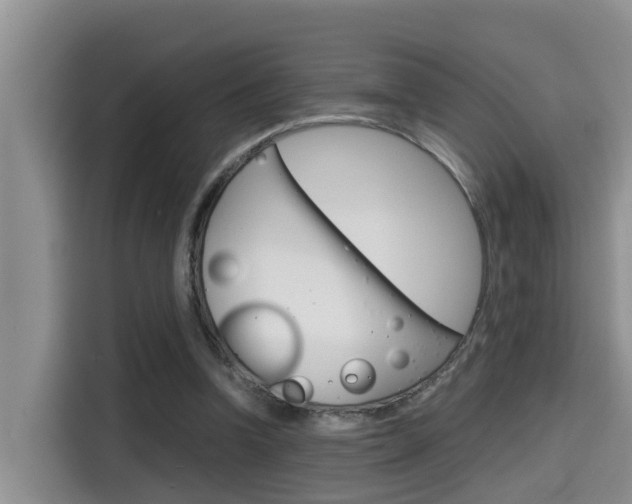 X0000115700346200911120947