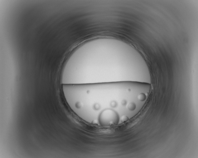 X0000115700349200911120947