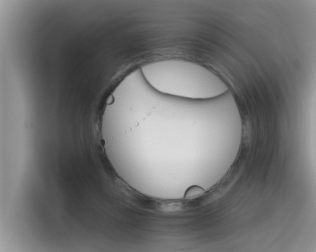 X0000115700355200911120948