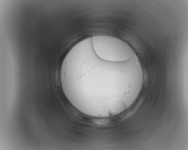 X0000115700359200911120948