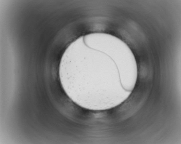 X0000115700370200911120948