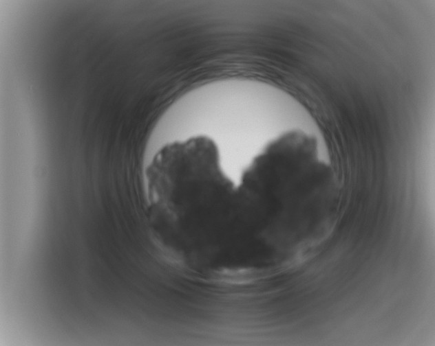 X0000115700371200911120948