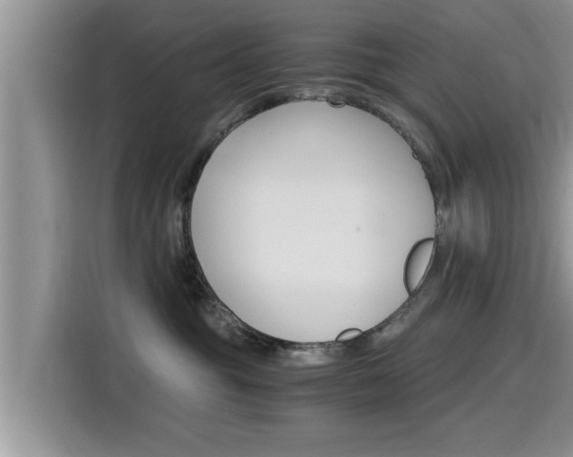 X0000115700381200911120948