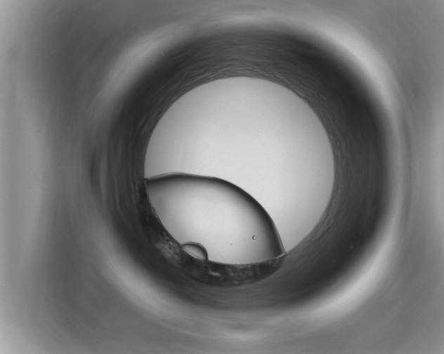 X0000115700382200911120948