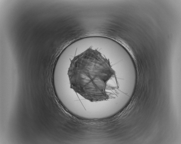 X0000115700385200911120947