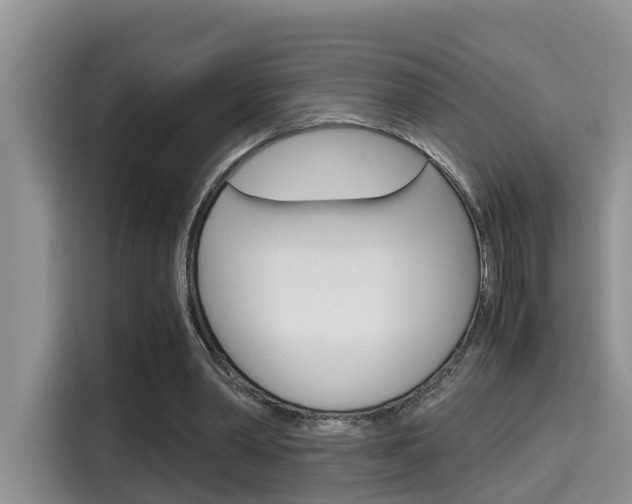 X0000115700390200911120947