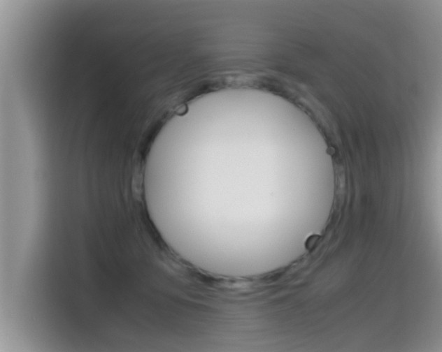 X0000115700419200911120947