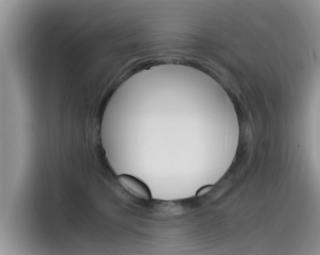 X0000115700421200911120947